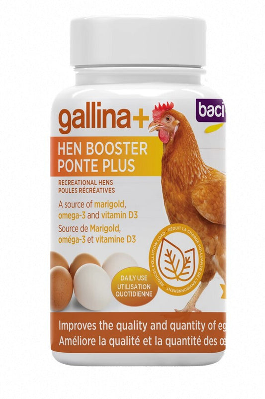  Supplément Ponte Plus Galinna+ Pour Poules - Baci+