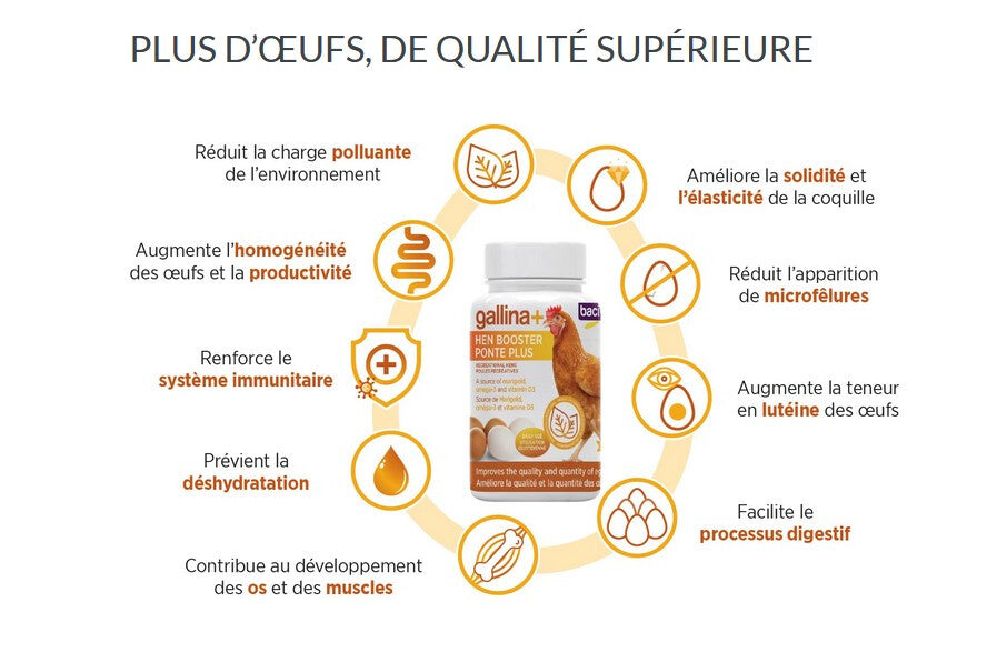  Supplément Ponte Plus Galinna+ Pour Poules - Baci+