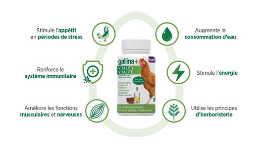  Supplément Vitalité Gallina+ Pour Poules - Baci+