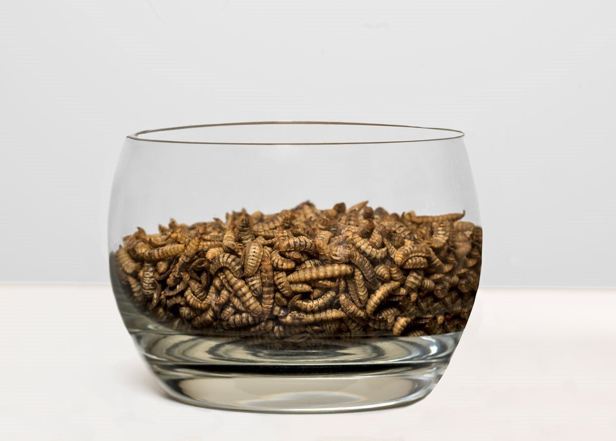  Gâterie D'Insectes Séchés - Choix Nature