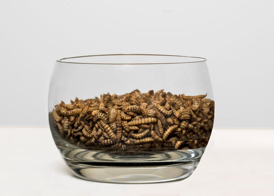  Gâterie D'Insectes Séchés - Choix Nature